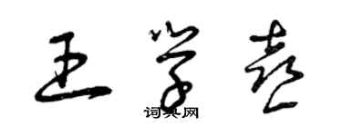 曾慶福王學喜草書個性簽名怎么寫