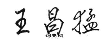 駱恆光王昌猛行書個性簽名怎么寫