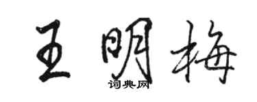駱恆光王明梅行書個性簽名怎么寫