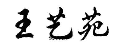 胡問遂王藝苑行書個性簽名怎么寫