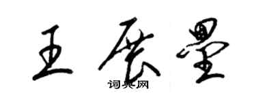 梁錦英王展壘草書個性簽名怎么寫