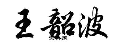 胡問遂王韶波行書個性簽名怎么寫