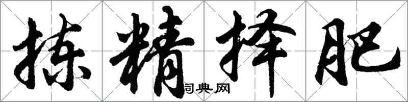 胡問遂揀精擇肥行書怎么寫