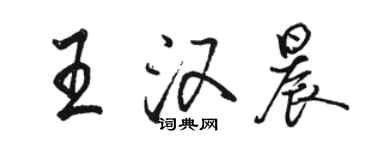 駱恆光王漢晨行書個性簽名怎么寫