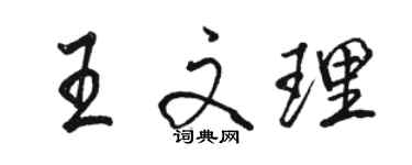 駱恆光王文理行書個性簽名怎么寫