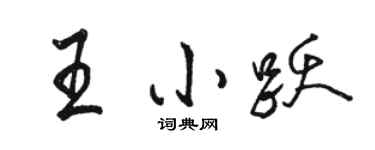 駱恆光王小躍行書個性簽名怎么寫