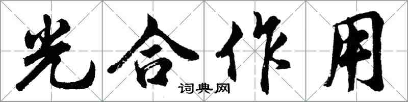 胡問遂光合作用行書怎么寫