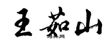 胡問遂王茹山行書個性簽名怎么寫