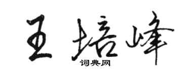 駱恆光王培峰行書個性簽名怎么寫