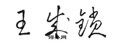 駱恆光王成鎖草書個性簽名怎么寫