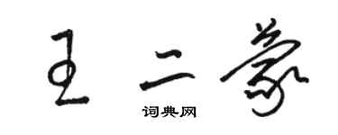 駱恆光王二蒙草書個性簽名怎么寫