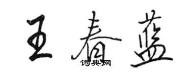 駱恆光王春藍行書個性簽名怎么寫