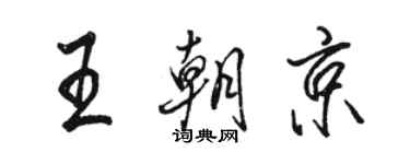 駱恆光王朝京行書個性簽名怎么寫