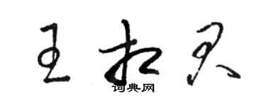 駱恆光王相君草書個性簽名怎么寫