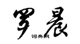 胡問遂羅晨行書個性簽名怎么寫