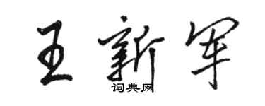 駱恆光王新軍行書個性簽名怎么寫