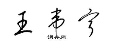 梁錦英王韋寧草書個性簽名怎么寫