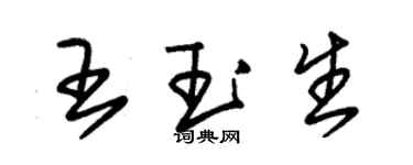 朱錫榮王玉生草書個性簽名怎么寫
