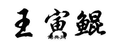 胡問遂王寅鯤行書個性簽名怎么寫
