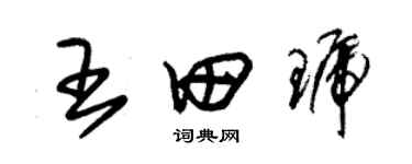 朱錫榮王田琥草書個性簽名怎么寫