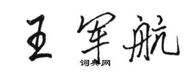 駱恆光王軍航行書個性簽名怎么寫