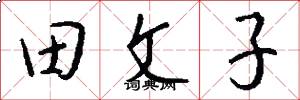 田文子怎么寫好看