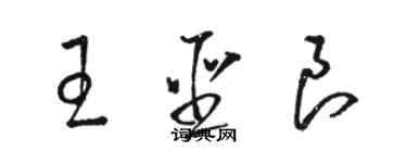 駱恆光王聖良草書個性簽名怎么寫