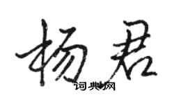 駱恆光楊君行書個性簽名怎么寫