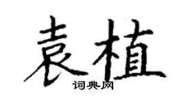 丁謙袁植楷書個性簽名怎么寫