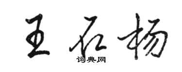 駱恆光王石楊行書個性簽名怎么寫