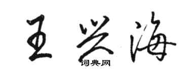 駱恆光王興海行書個性簽名怎么寫