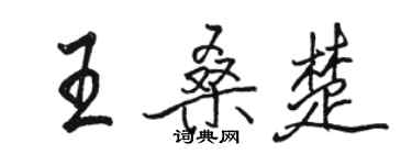 駱恆光王桑楚行書個性簽名怎么寫