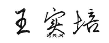 駱恆光王實培行書個性簽名怎么寫