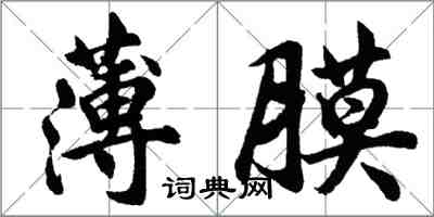 胡問遂薄膜行書怎么寫