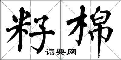 翁闓運籽棉楷書怎么寫