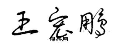 曾慶福王宏鵬草書個性簽名怎么寫