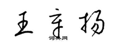 梁錦英王辛揚草書個性簽名怎么寫