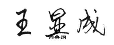 駱恆光王顯成行書個性簽名怎么寫