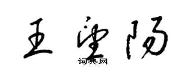 梁錦英王望陽草書個性簽名怎么寫