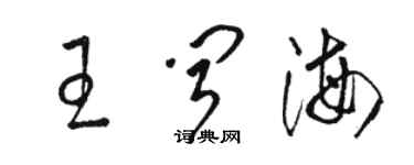 駱恆光王聞海草書個性簽名怎么寫