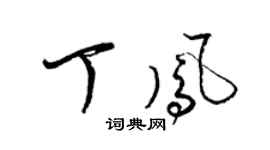 梁錦英丁鳳草書個性簽名怎么寫