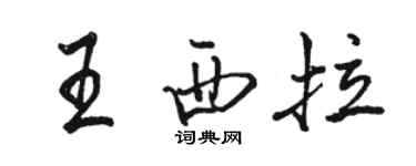 駱恆光王西拉行書個性簽名怎么寫