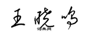 梁錦英王曉鳴草書個性簽名怎么寫