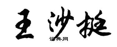 胡問遂王沙挺行書個性簽名怎么寫