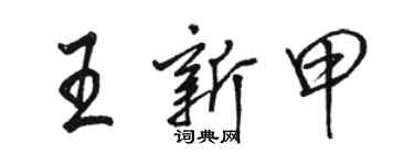 駱恆光王新甲行書個性簽名怎么寫