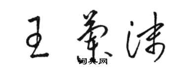 駱恆光王蘭沫草書個性簽名怎么寫