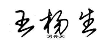 朱錫榮王楊生草書個性簽名怎么寫