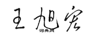 駱恆光王旭宏草書個性簽名怎么寫