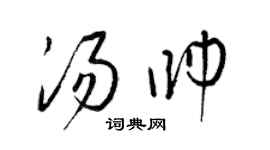 梁錦英湯帥草書個性簽名怎么寫