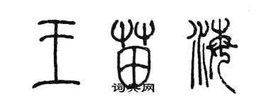 陳墨王苗海篆書個性簽名怎么寫